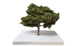 MININATUR SILHOUETTE PLATANO MODELLISMO 20 CM CA "ESTATE" SCALA 1/87 H0 233-22