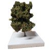 MININATUR SILHOUETTE PLATANO MODELLISMO 20 CM CA "AUTUNNO" SCALA 1/87 H0 233-23